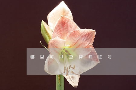 哪里可以查律师证号 哪里可以查律师证号