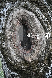 哪里可以查贷款逾期结束时间 哪里可以查贷款逾期结束时间