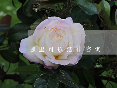 哪里可以法律咨询 哪里可以法律咨询