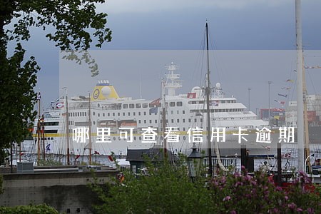哪里可查看信用卡逾期 哪里可查看信用卡逾期