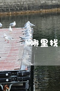 哪里找信用卡逾期的人 哪里找信用卡逾期的人