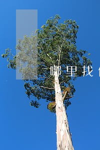 哪里找债务纠纷律师 哪里找债务纠纷律师