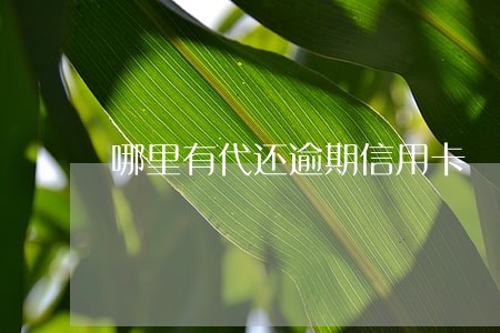 哪里有代还逾期信用卡 哪里有代还逾期信用卡