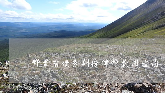 哪里有债务纠纷律师费用咨询 哪里有债务纠纷律师费用咨询