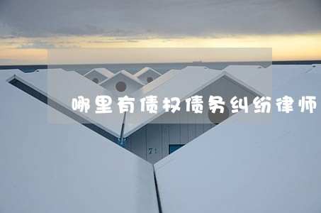 哪里有债权债务纠纷律师咨询电话 哪里有债权债务纠纷律师咨询电话