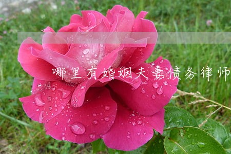 哪里有婚姻夫妻债务律师诉讼 哪里有婚姻夫妻债务律师诉讼