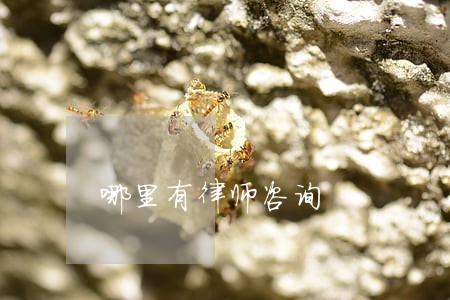哪里有律师咨询
