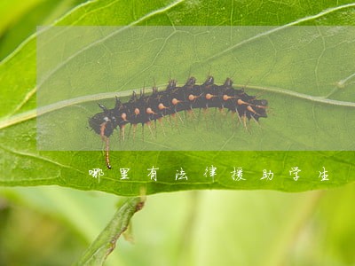 哪里有法律援助学生 哪里有法律援助学生