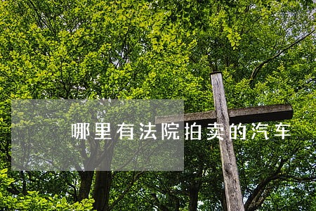 哪里有法院拍卖的汽车 哪里有法院拍卖的汽车
