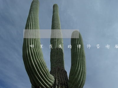 哪里有离婚律师咨询服务 哪里有离婚律师咨询服务