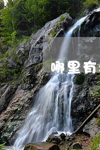 哪里有老人赡养律师联系方式 哪里有老人赡养律师联系方式