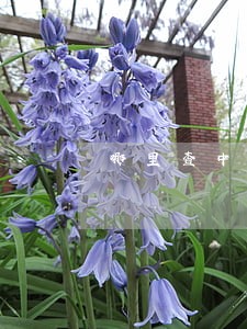 哪里查中国的信用卡逾期总金额