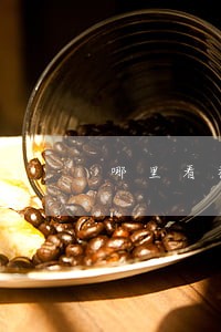 哪里看机动车违法图片 哪里看机动车违法图片
