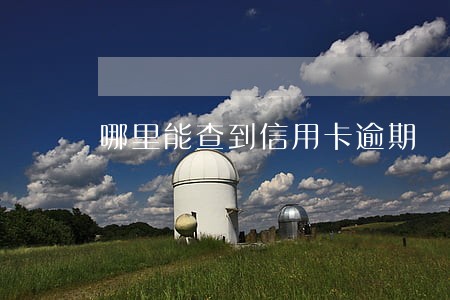 哪里能查到信用卡逾期 哪里能查到信用卡逾期
