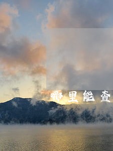 哪里能查到房产司法拍卖价 哪里能查到房产司法拍卖价