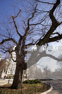哺乳期劳动法如何赔偿