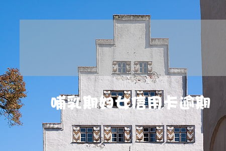 哺乳期妇女信用卡逾期 哺乳期妇女信用卡逾期