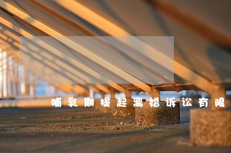 哺乳期提起离婚诉讼有限制吗 哺乳期提起离婚诉讼有限制吗