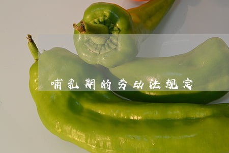 哺乳期的劳动法规定 哺乳期的劳动法规定