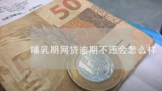 哺乳期网贷逾期不还会怎么样 哺乳期网贷逾期不还会怎么样
