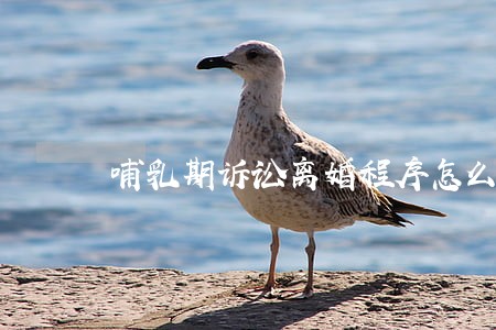 哺乳期诉讼离婚程序怎么走 哺乳期诉讼离婚程序怎么走