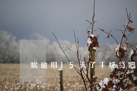 唉逾期15天了手机贷吧 唉逾期15天了手机贷吧
