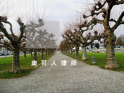 唐可人律师 唐可人律师