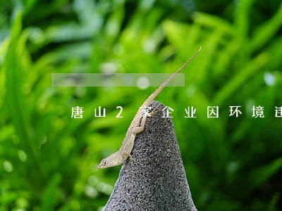 唐山2家企业因环境违法被曝光
