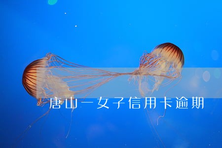 唐山一女子信用卡逾期