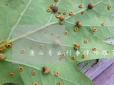 唐山专业刑事律师推荐 唐山专业刑事律师推荐