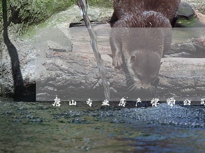 唐山专业房产律师公司 唐山专业房产律师公司