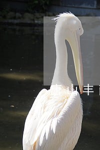 唐山丰南区法律援助地址 唐山丰南区法律援助地址