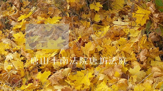 唐山丰南法院唐坊法庭 唐山丰南法院唐坊法庭