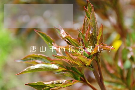 唐山丰南镇违法拆了 唐山丰南镇违法拆了