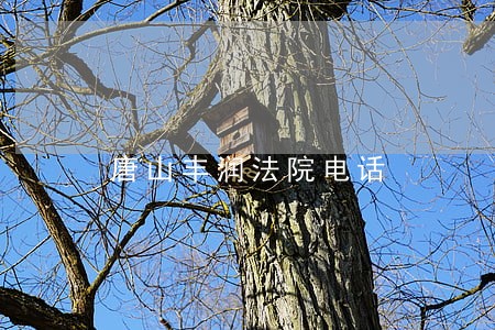 唐山丰润法院电话 唐山丰润法院电话