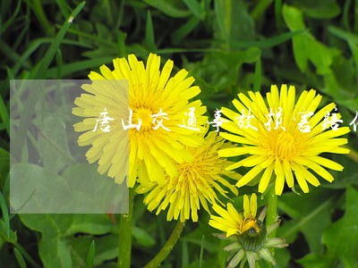 唐山交通事故损害赔偿律师咨询 唐山交通事故损害赔偿律师咨询