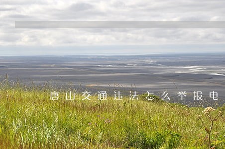 唐山交通违法怎么举报电话