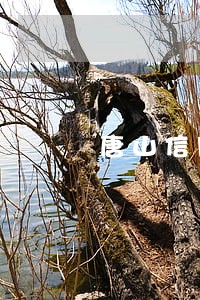 唐山信用卡逾期征消除 唐山信用卡逾期征消除
