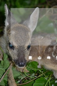 唐山哪里有医疗事故律师 唐山哪里有医疗事故律师