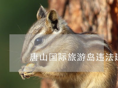 唐山国际旅游岛违法建筑 唐山国际旅游岛违法建筑