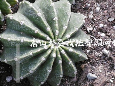 唐山外企找法律顾问收费