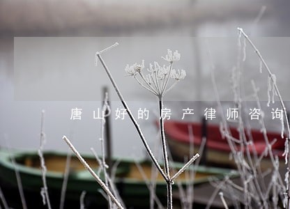 唐山好的房产律师咨询 唐山好的房产律师咨询