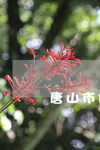 唐山市侵犯公民权利罪律师咨询 唐山市侵犯公民权利罪律师咨询