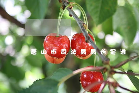 唐山市司法局局长是谁 唐山市司法局局长是谁