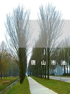 唐山市法院刘庭长 唐山市法院刘庭长