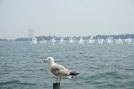 唐山市玉田县石臼窝法院电话 唐山市玉田县石臼窝法院电话