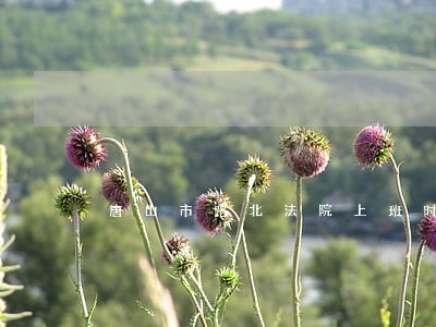 唐山市路北法院上班时间 唐山市路北法院上班时间
