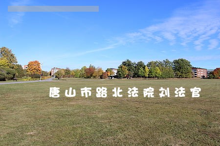 唐山市路北法院刘法官