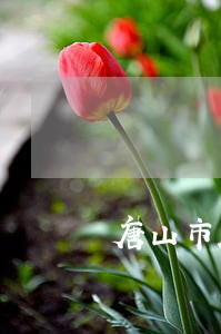 唐山市路南法院直播 唐山市路南法院直播