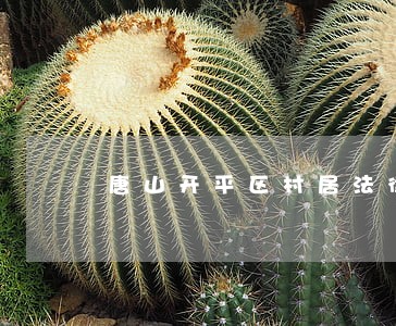 唐山开平区村居法律顾问 唐山开平区村居法律顾问